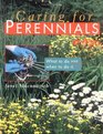 Caring for Perennials  What to Do and When to Do it