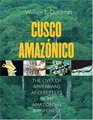 Cusco Amaznico The Lives of Amphibians and Reptiles in an Amazonian Rainforest