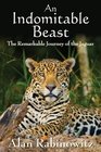 An Indomitable Beast The Remarkable Journey of the Jaguar