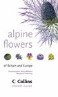 Alpine Flowers Of Britain and Europe