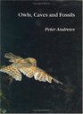 Owls Caves and Fossils  Predation Preservation and Accumulation of Small Mammal Bones in Caves with an Analysis of the Pleistocene Cave Faunas From WestburySubMendip Somerset UK