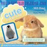 Cute Overload PageADay Calendar 2009  Calendars