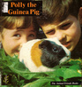 Polly the Guinea Pig