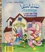Tiny Toon Adventures Lost in the Fun House