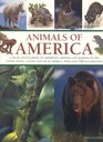 Animals of America A Visual Encyclopedia of Amphibians Reptiles and Mammals  of the United States Canada and South America