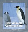 How Animals Communicate