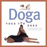 Doga Yoga for Dogs