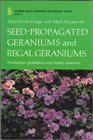 SeedPropagated and Regal Geraniums