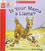 Is Your Mama a Llama
