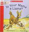 Is Your Mama a Llama