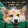 Thanks for Picking Up My Poop Everyday Gratitude from Dogs