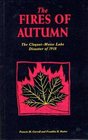Fires of Autumn The CloquetMoose Lake Disaster of 1918