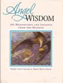 Angel Wisdom 365 Meditations and Insights from the Heavens