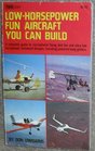 LowHorsepower Fun Aircraft You Can Build