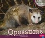 Opossums