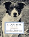 A Dog Year: Twelve Months, Four Dogs, and Me