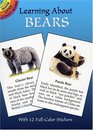 Learning About Bears