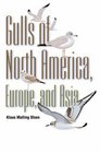 Gulls of North America Europe and Asia