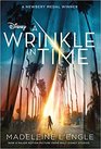 A Wrinkle in Time (Time Quintet, Bk 1)