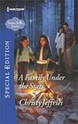 A Family Under the Stars (Sugar Falls, Idaho, Bk 6)