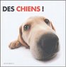 Des chiens