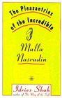 The Pleasantries of the Incredible Mullah Nasrudin
