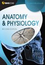 Anatomy  Physiology Student Workbook