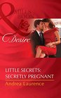Little Secrets Secretly Pregnant