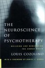 The Neuroscience of Psychotherapy Building and Rebuilding the Human Brain