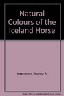 Natural Colours of the Iceland Horse