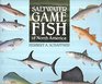 Saltwater Game Fish of North America