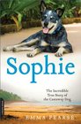Sophie The Incredible True Story of the Castaway Dog