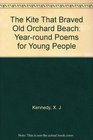 The Kite That Braved Old Orchard Beach YearRound Poems for Young People