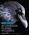Bird Brain An Exploration of Avian Intelligence