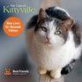 The Cats of Kittyville New Lives for Rescued Felines
