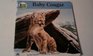 Baby Cougar (Look Look)