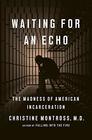 Waiting for an Echo The Madness of American Incarceration