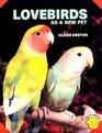 Lovebirds As a New Pet
