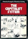Capitalist System Radical Analysis of American Society