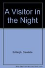 A Visitor in the Night