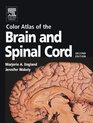 Color Atlas of the Brain and Spinal Cord