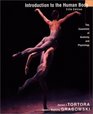 Introduction to the Human Body The Essentials of Anatomy and Physiology 5th Edition