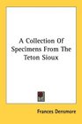 A Collection Of Specimens From The Teton Sioux