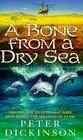 A BONE FROM THE DRY SEA