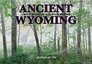 Ancient Wyoming A Dozen Lost Worlds Based on the Geology of the Bighorn Basin