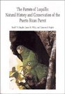 The parrots of Luquillo Natural history and conservation of the Puerto Rican parrot