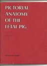 Pictorial Anatomy of the Fetal Pig