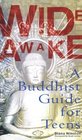 Wide Awake A Buddhist Guide for Teens