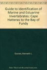 Guide to Identification of Marine and Estuarine Invertebrates Cape Hatteras to the Bay of Fundy