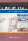 Feedlotting Lambs A Producer's Guide